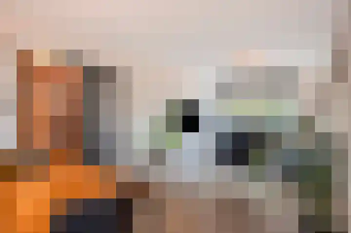 Vrangendael 40 Sittard thumbnail 23