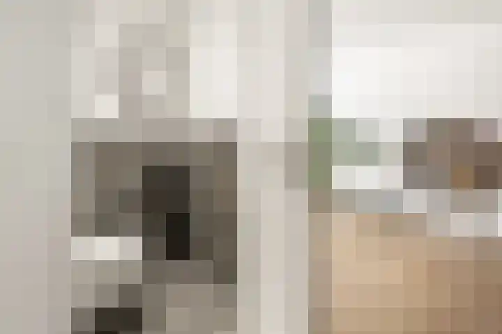 Vrangendael 40 Sittard thumbnail 26