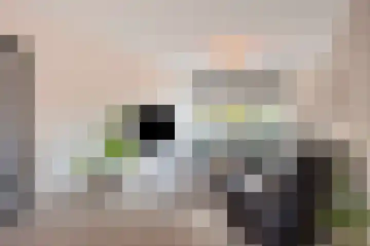 Vrangendael 40 Sittard foto 3