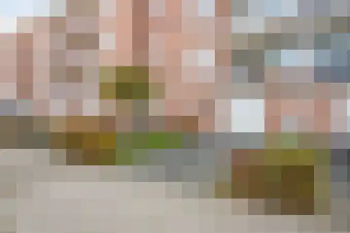 Vrangendael 40 Sittard thumbnail 8