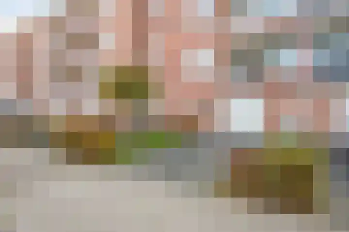 Vrangendael 40 Sittard thumbnail 9