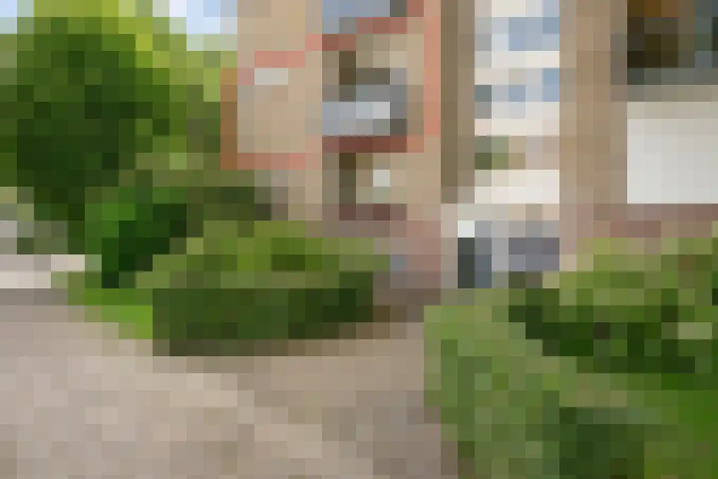 Vrangendael 46 I Sittard foto 3