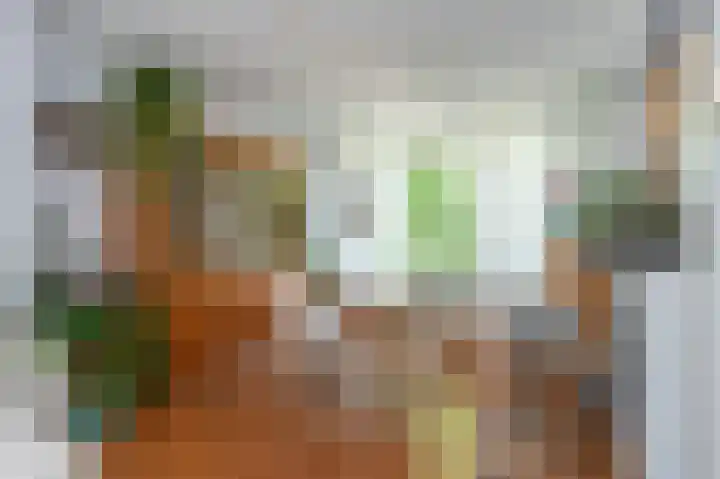 Vrangendael 56 II Sittard thumbnail 15