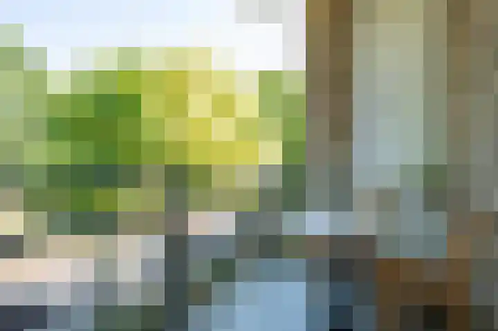 Vrangendael 56 II Sittard thumbnail 9