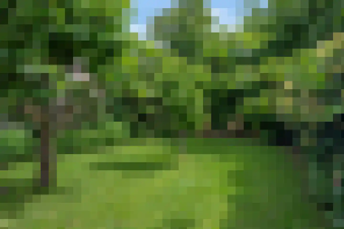 Vrangendael 59 Sittard thumbnail 10