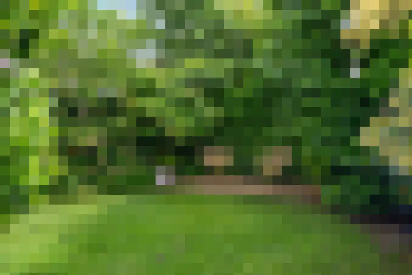 Vrangendael 59 Sittard thumbnail 11