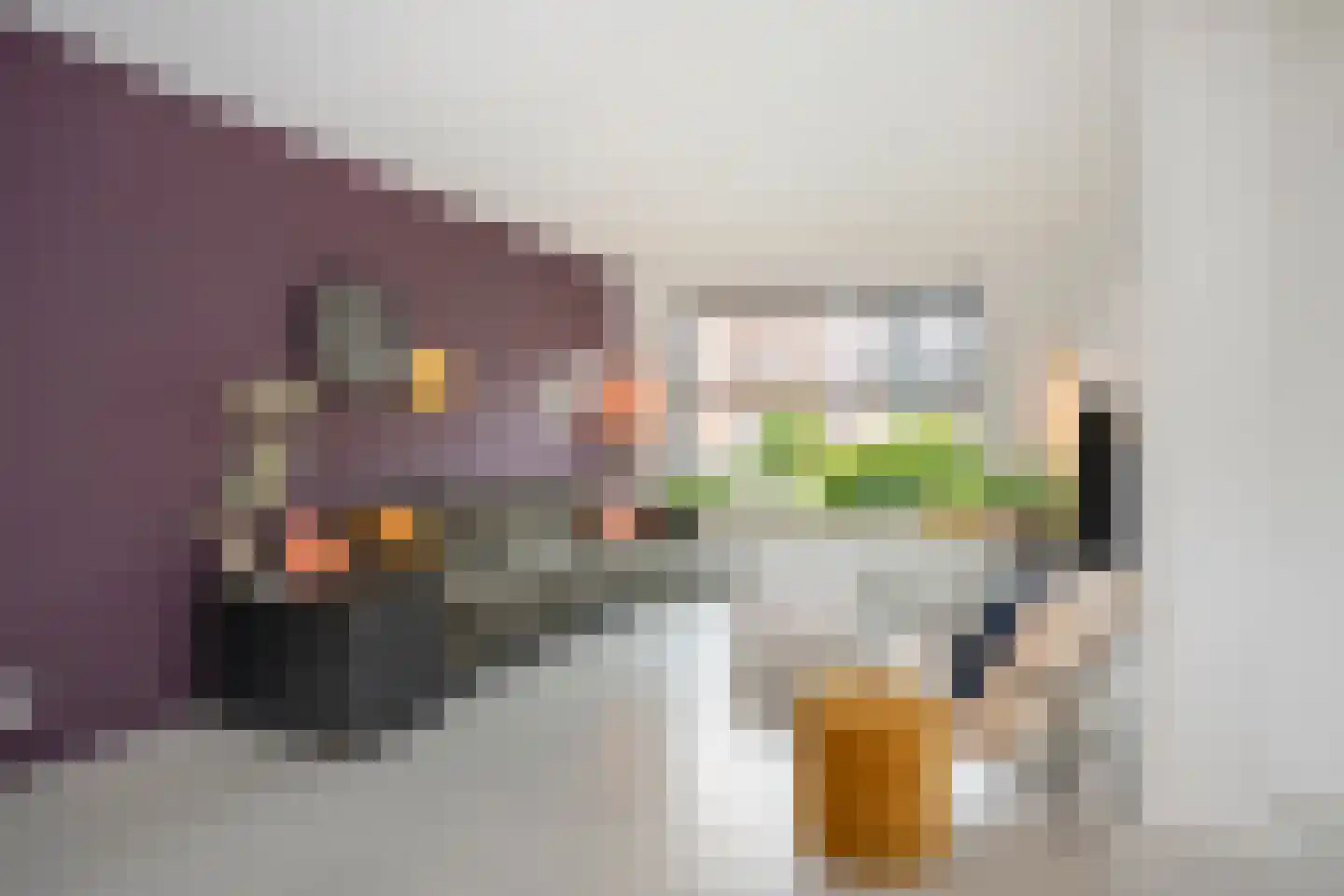 Vrangendael 59 Sittard thumbnail 21