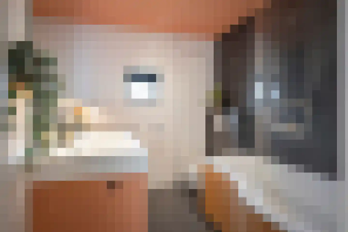 Vrangendael 59 Sittard thumbnail 32