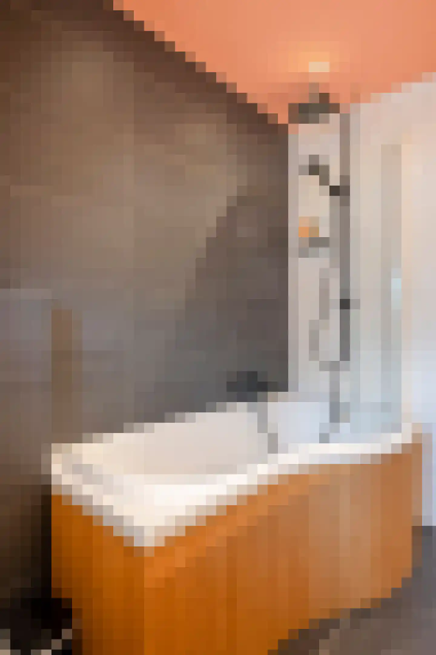 Vrangendael 59 Sittard thumbnail 35