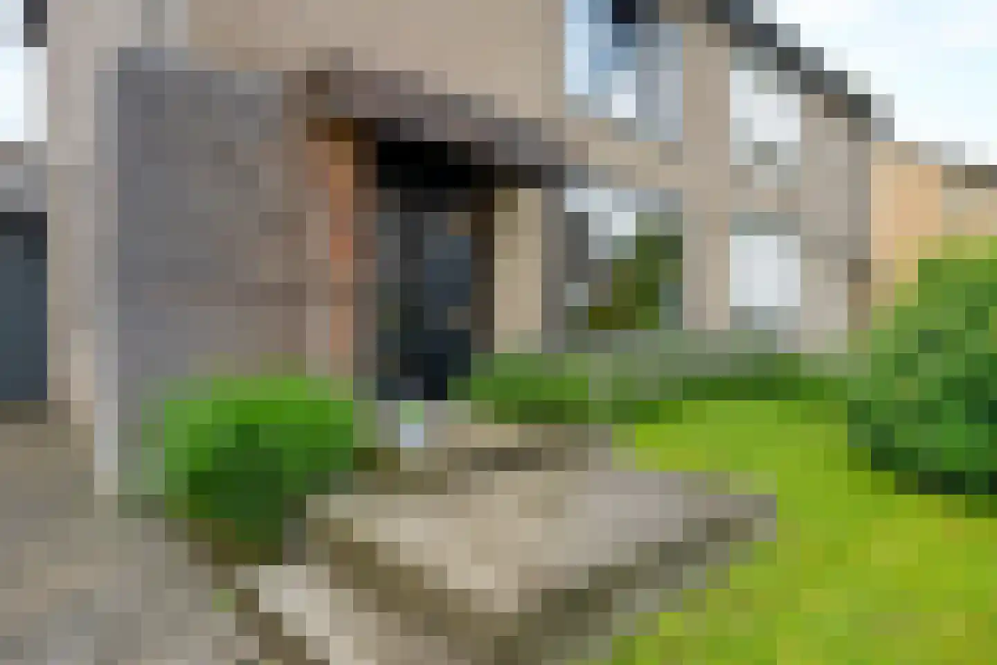 Vrangendael 59 Sittard thumbnail 7