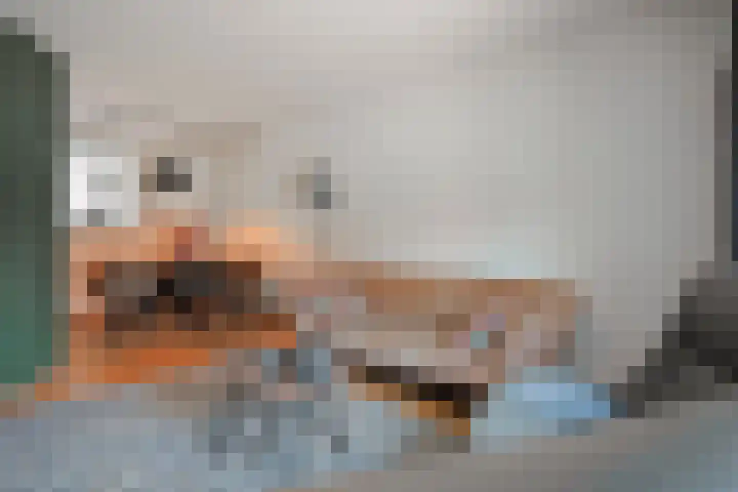 Vrangendael 61 Sittard thumbnail 10