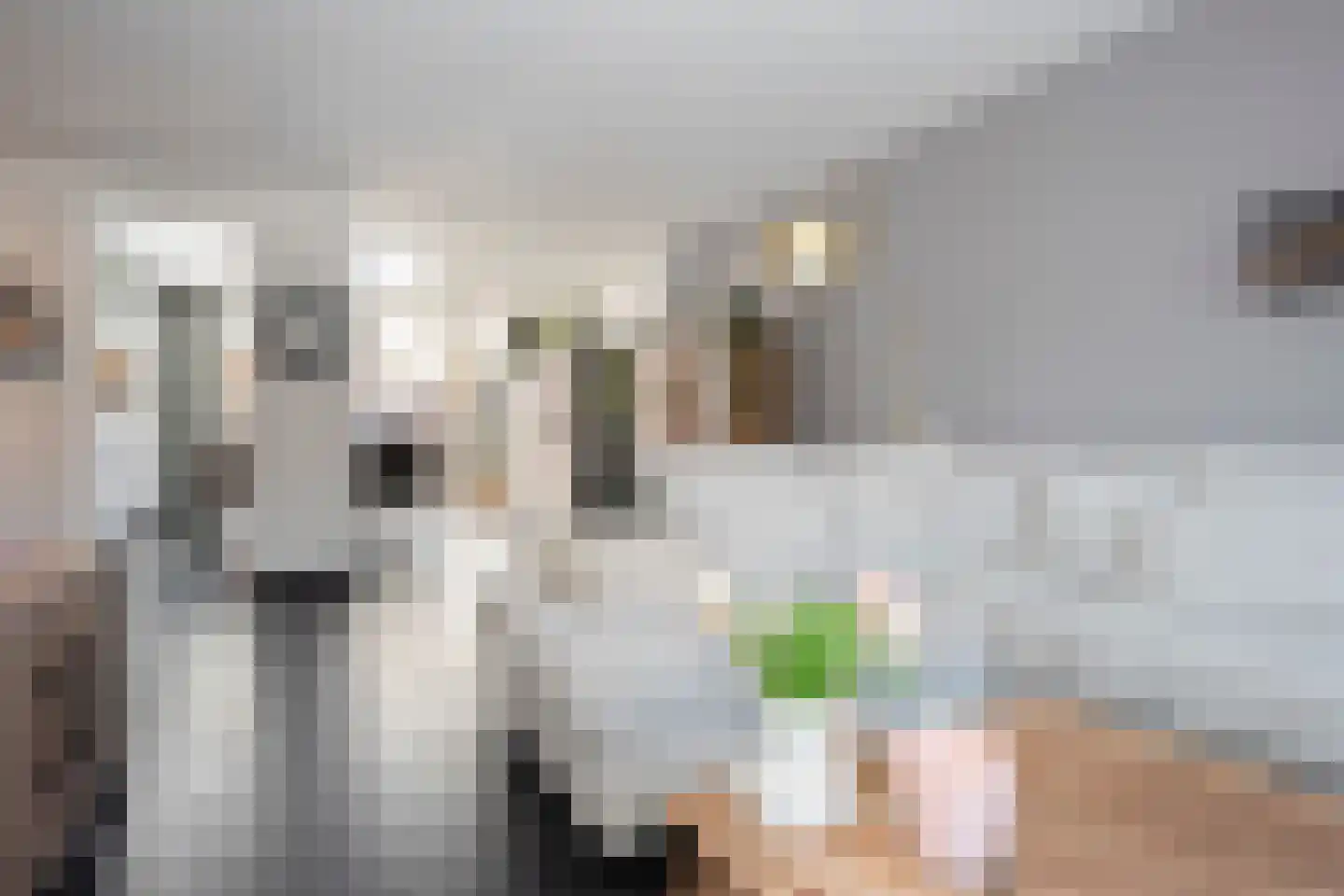 Vrangendael 63 Sittard thumbnail 10
