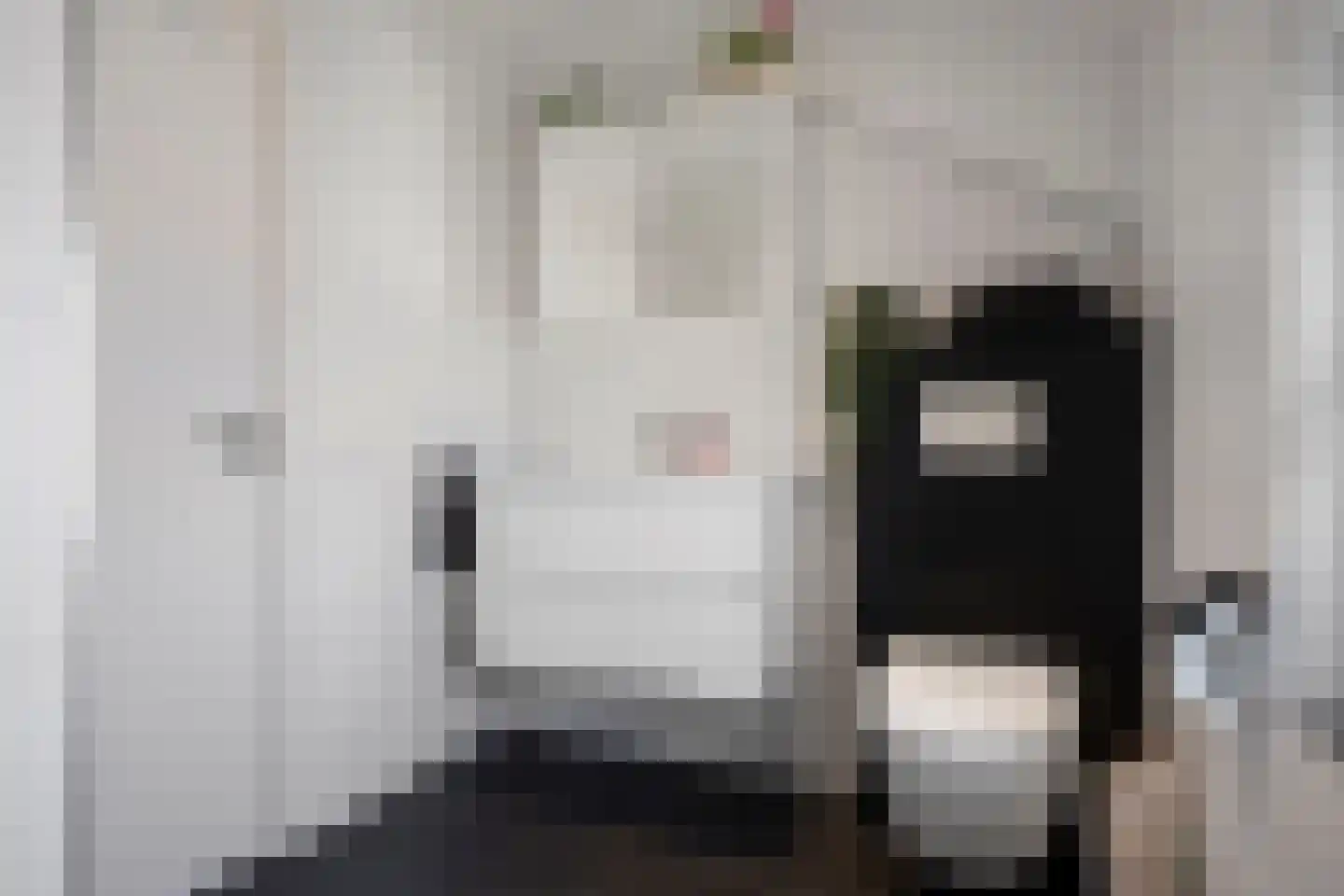 Vrangendael 63 Sittard thumbnail 25
