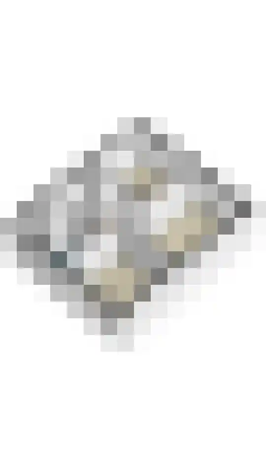 Vrangendael 63 Sittard thumbnail 34