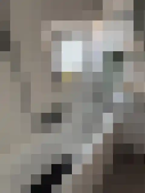 Vrangendael 66 Sittard thumbnail 17