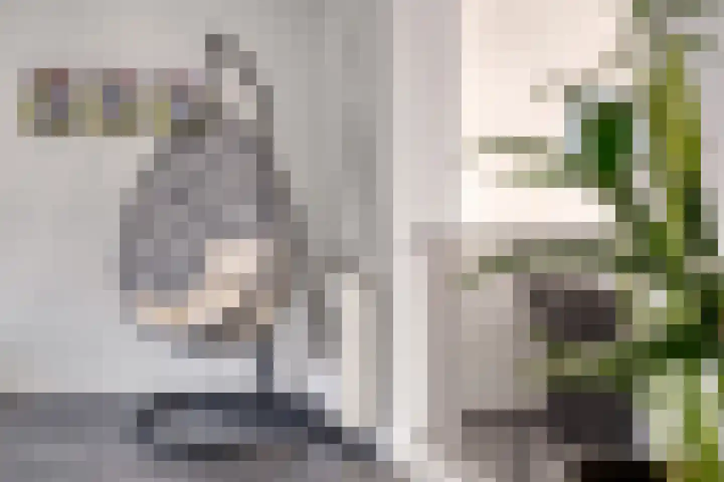Vrangendael 66 Sittard thumbnail 9