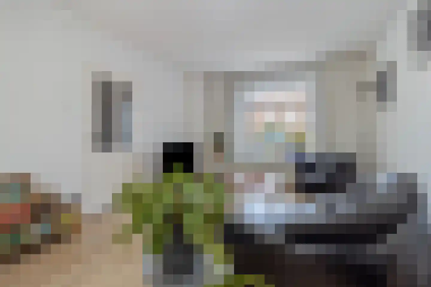 Vrangendael 78 Sittard thumbnail 10