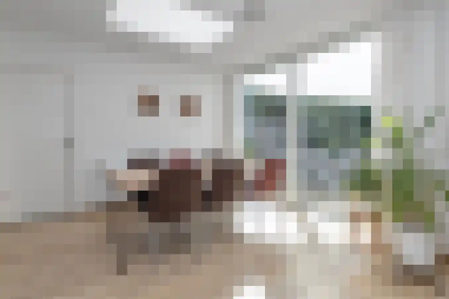 Vrangendael 78 Sittard thumbnail 17