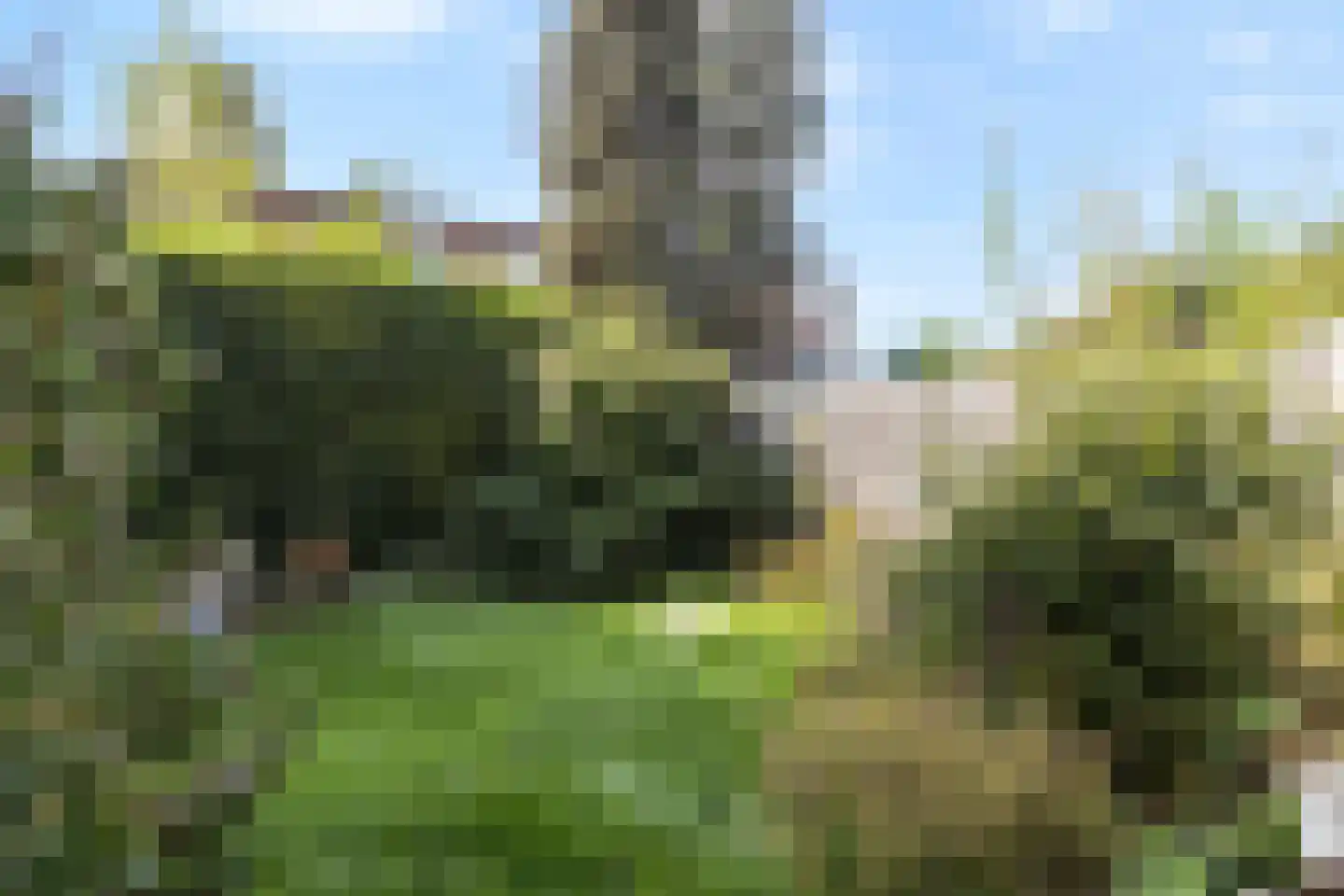 Vrangendael 78 Sittard thumbnail 29