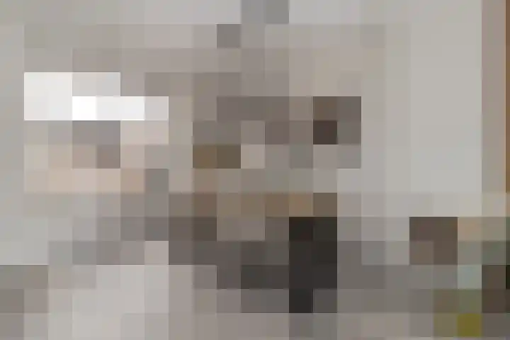 Vrangendael 79 Sittard thumbnail 14