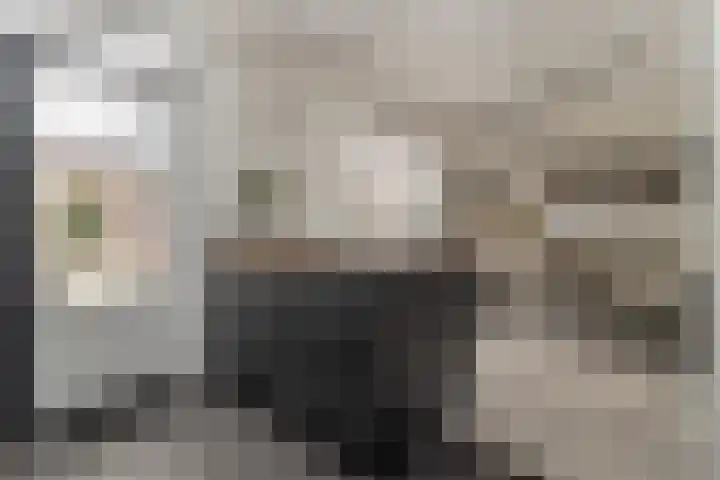 Vrangendael 79 Sittard thumbnail 17
