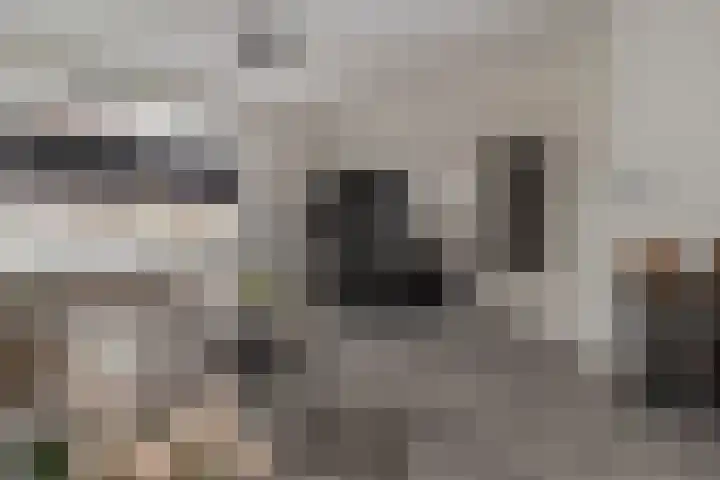 Vrangendael 79 Sittard thumbnail 20
