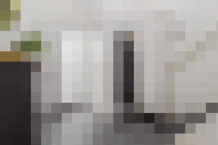 Vrangendael 79 Sittard thumbnail 21