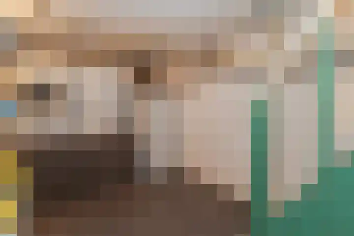 Vrangendael 79 Sittard thumbnail 26