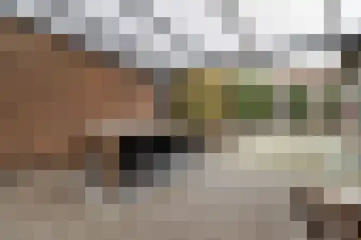 Vrangendael 79 Sittard thumbnail 29