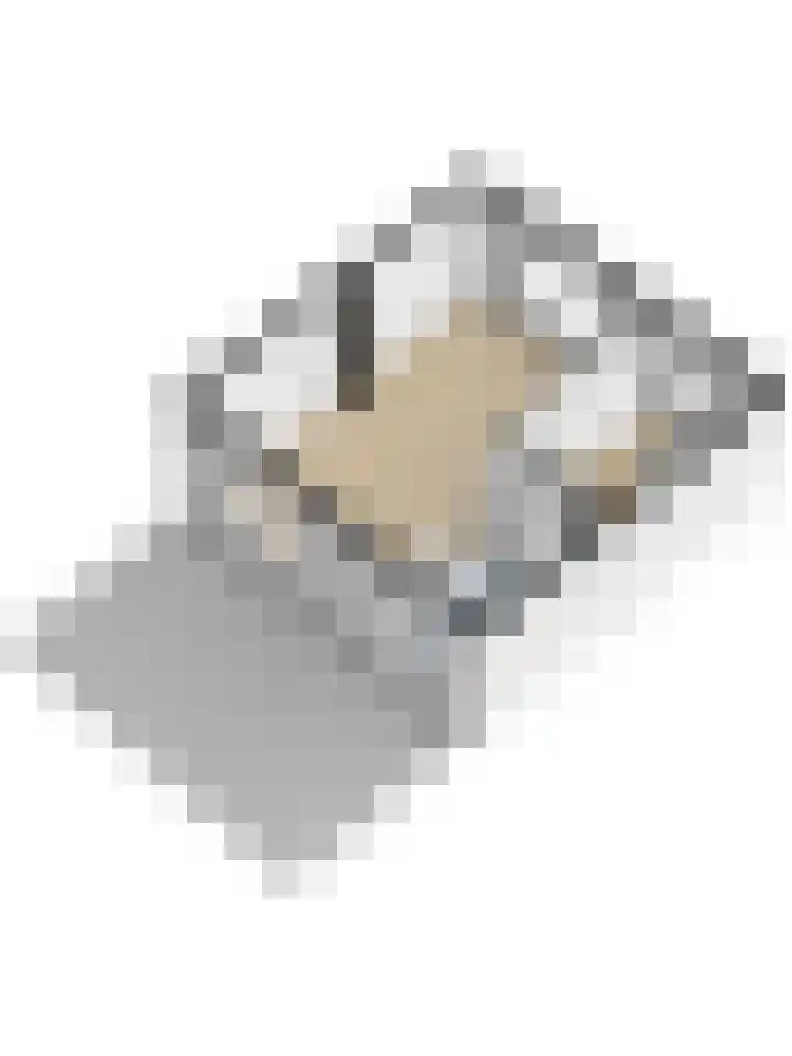 Vrangendael 79 Sittard thumbnail 39