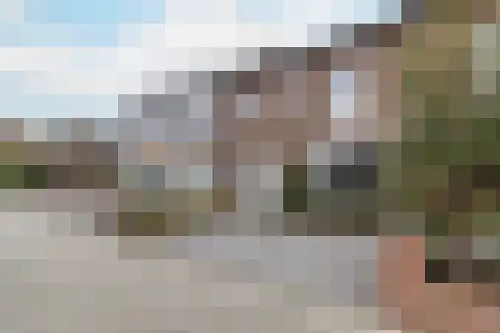 Vrangendael 79 Sittard thumbnail 7