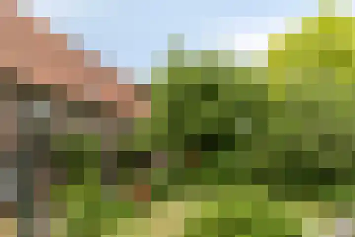 Vrank 7 Heerlen thumbnail 40