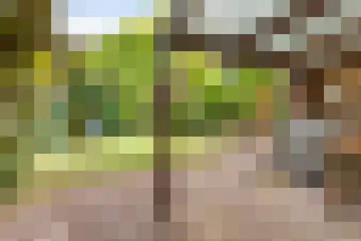 Vrank 7 Heerlen thumbnail 44