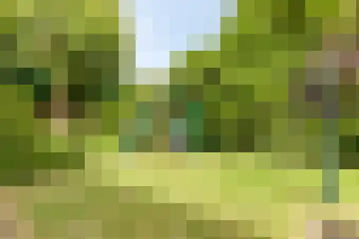 Vrank 7 Heerlen thumbnail 45