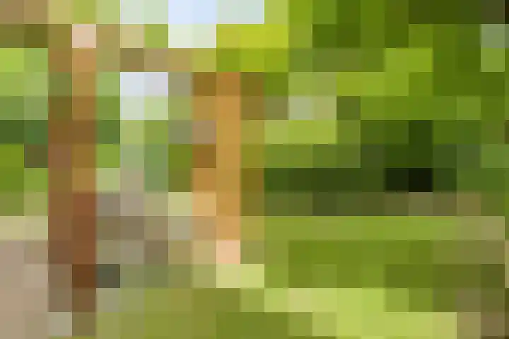 Vrank 7 Heerlen thumbnail 46