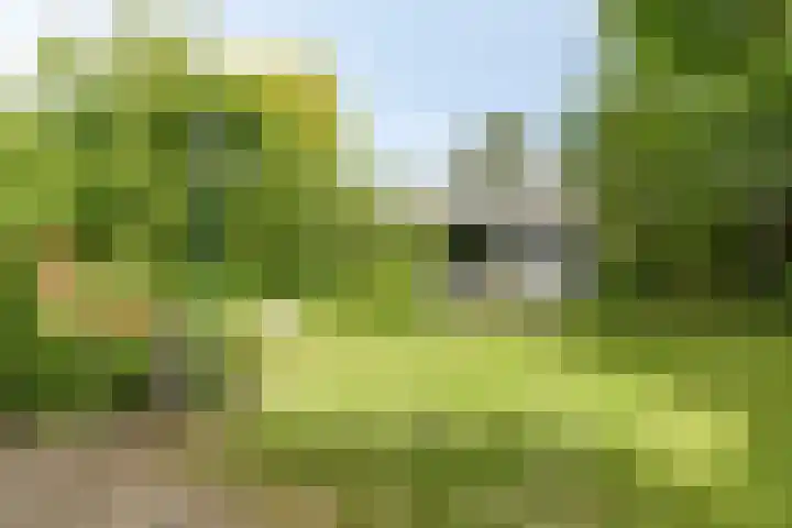 Vrank 7 Heerlen thumbnail 47