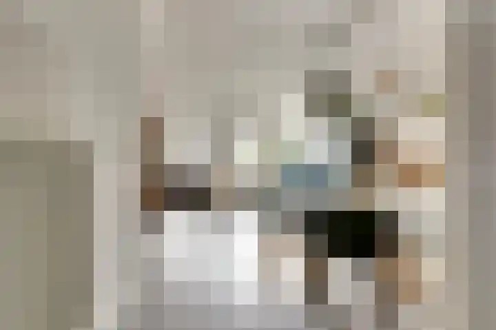 Vredebest 11 Gouda thumbnail 10