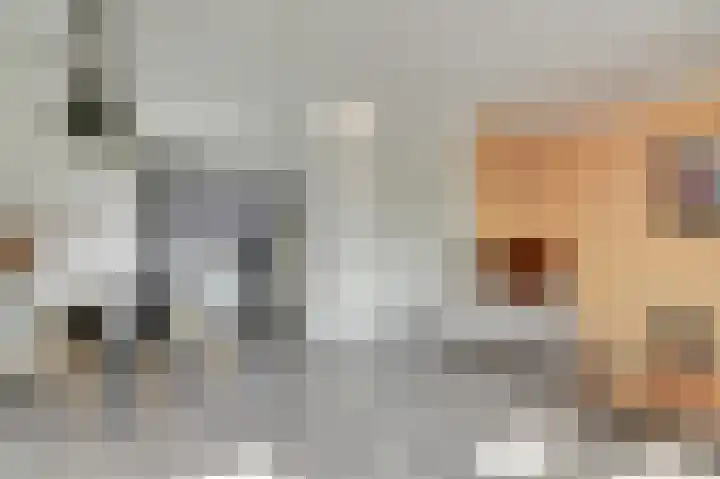 Vredebest 11 Gouda thumbnail 11