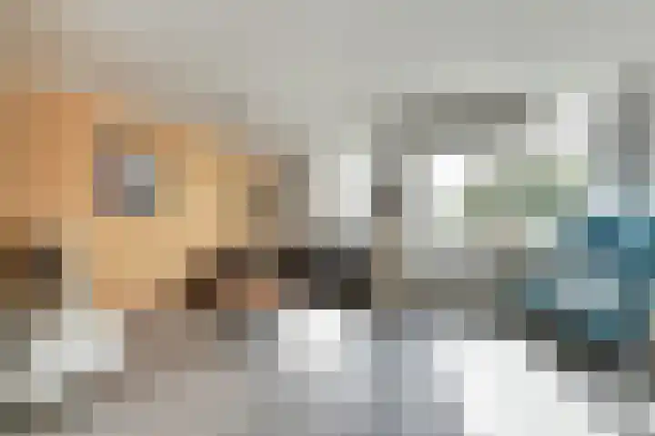 Vredebest 11 Gouda thumbnail 12