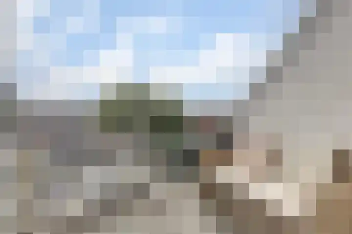 Vredebest 11 Gouda thumbnail 15