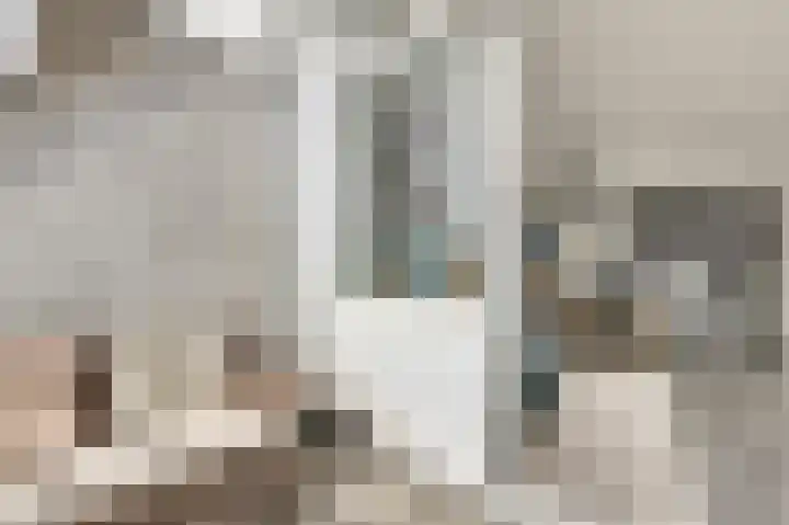 Vredebest 11 Gouda thumbnail 17