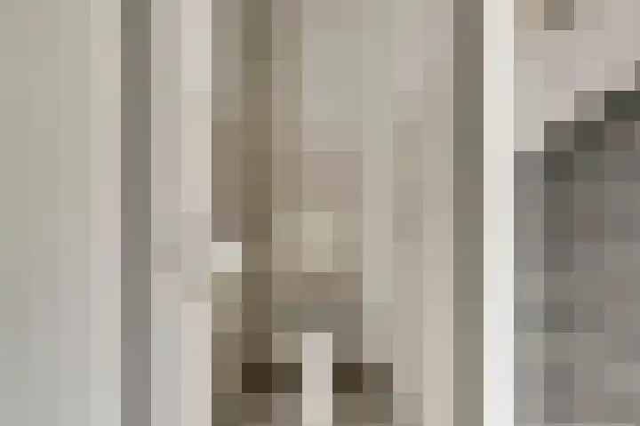 Vredebest 11 Gouda thumbnail 19