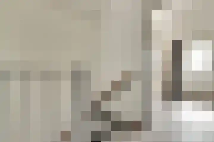 Vredebest 11 Gouda thumbnail 20