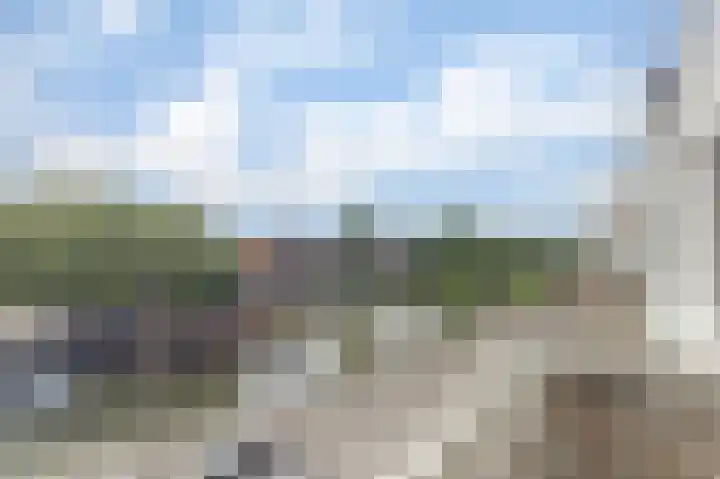 Vredebest 11 Gouda thumbnail 24