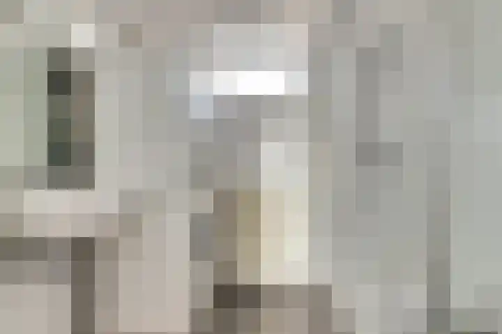 Vredebest 11 Gouda thumbnail 28