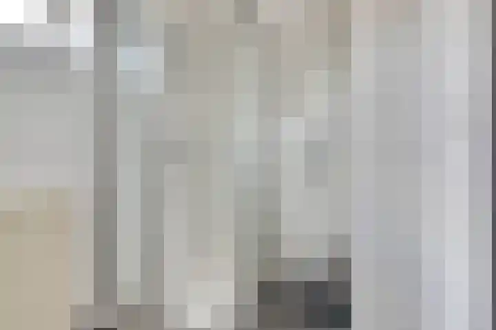 Vredebest 11 Gouda thumbnail 29