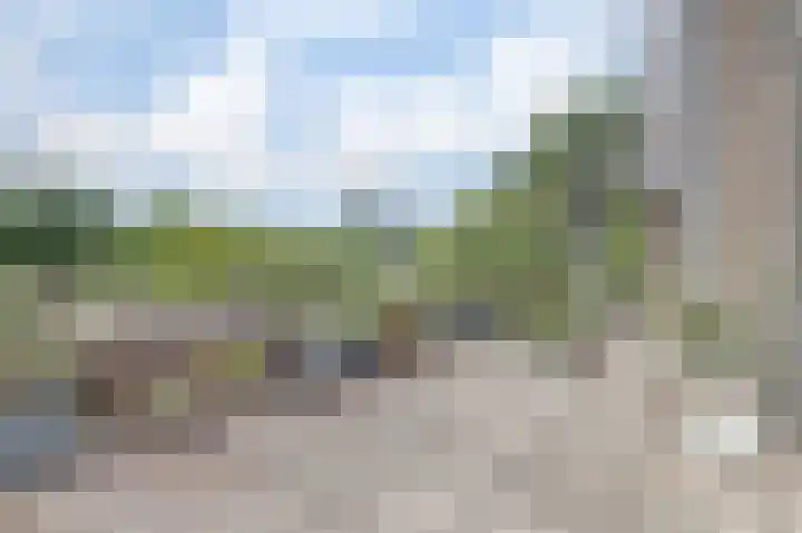 Vredebest 11 Gouda thumbnail 31