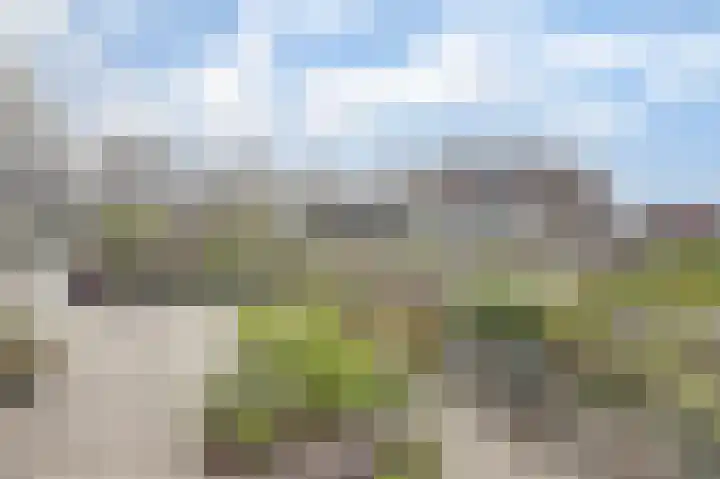 Vredebest 11 Gouda thumbnail 32