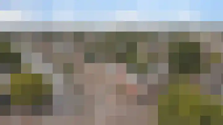 Vredebest 11 Gouda thumbnail 42