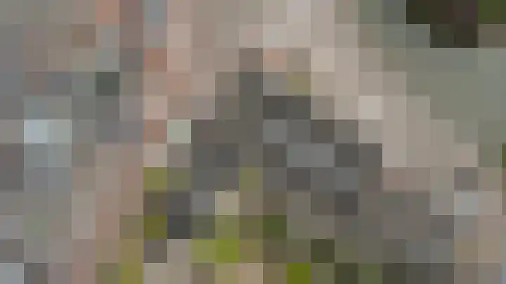 Vredebest 11 Gouda thumbnail 44